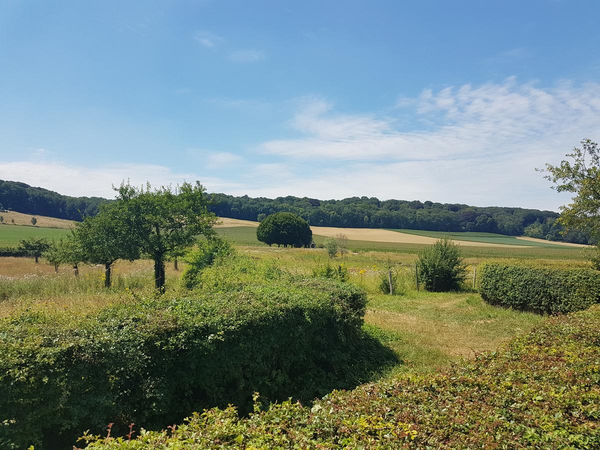B&B Hotel Gasthoeve Het Valkennest Oud-Valkenburg Kültér fotó